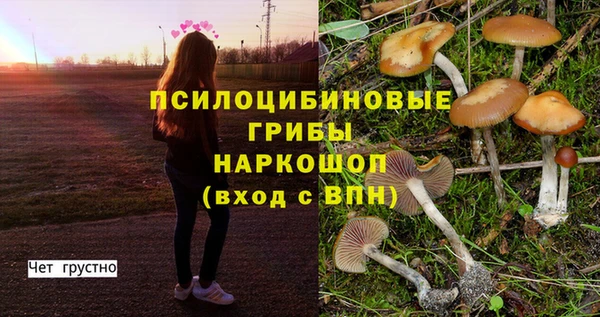 метамфетамин Михайловск